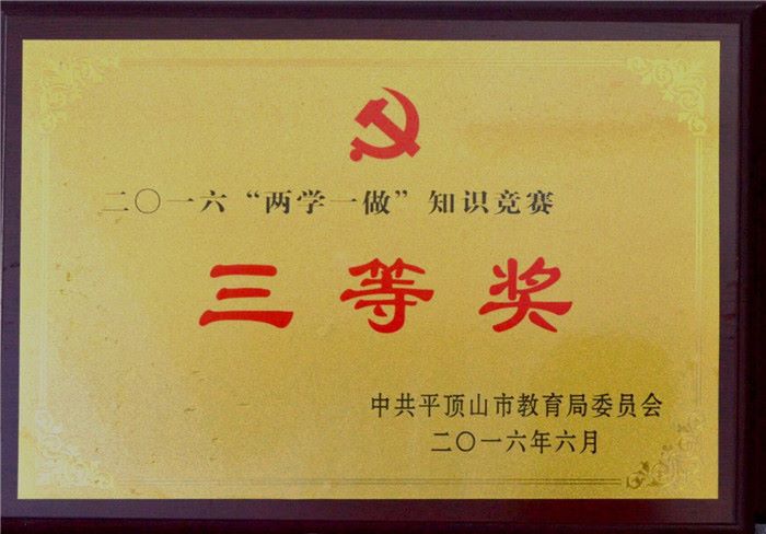 学校荣誉（2016年）