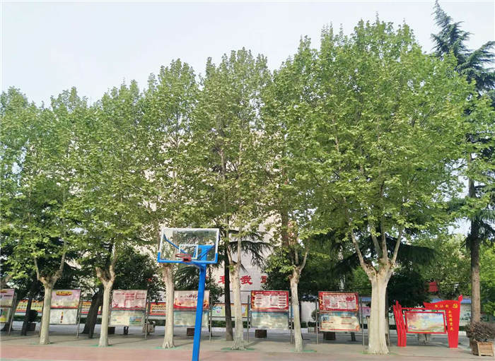 和风吹日暖 动静总相宜 ——记高三封校期间课外活动