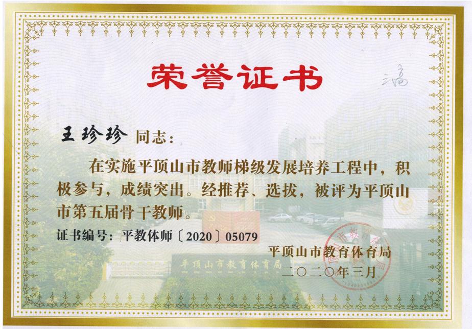 202003市第五届骨干教师——王珍珍