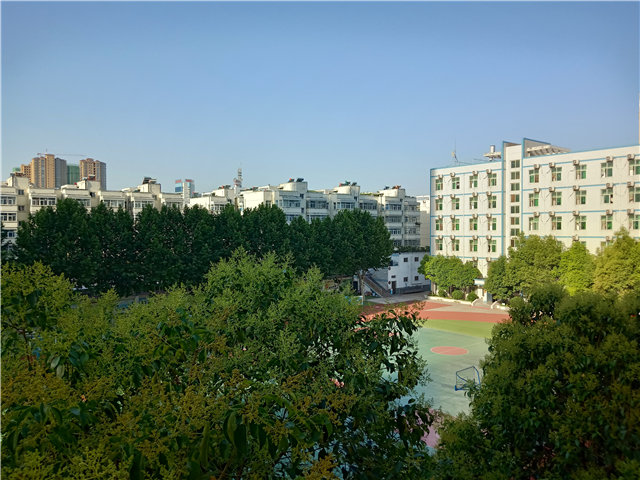 三高，我很想念你