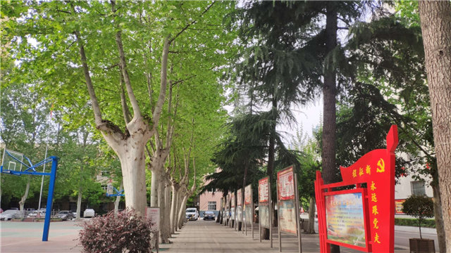 饮水思源谢母校